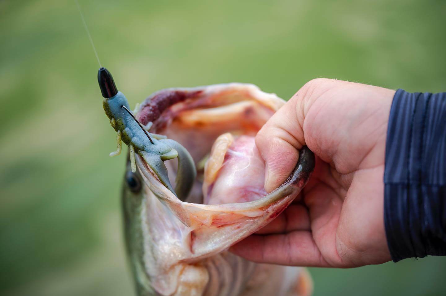 les produits incontournables de chez Berkley